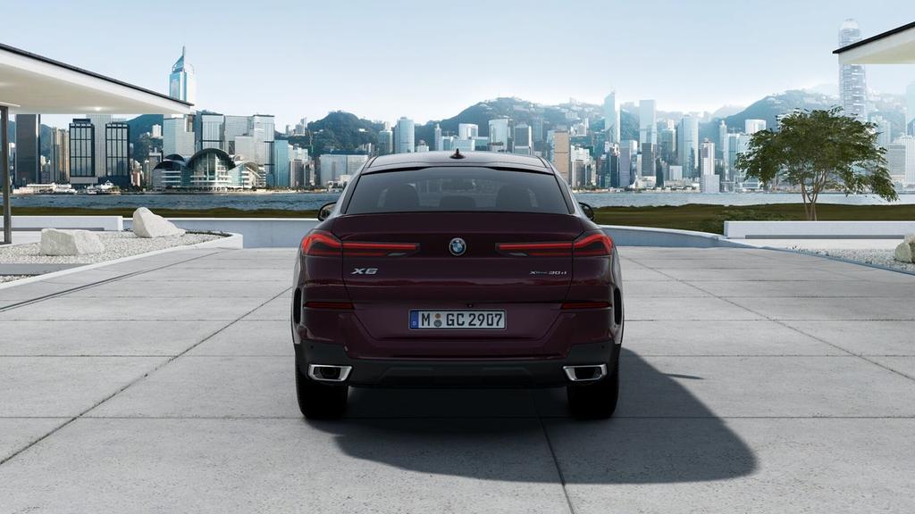 BMW X6 xDrive30d - Foto 5