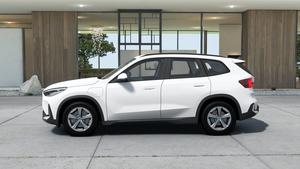 BMW X1 xDrive25e