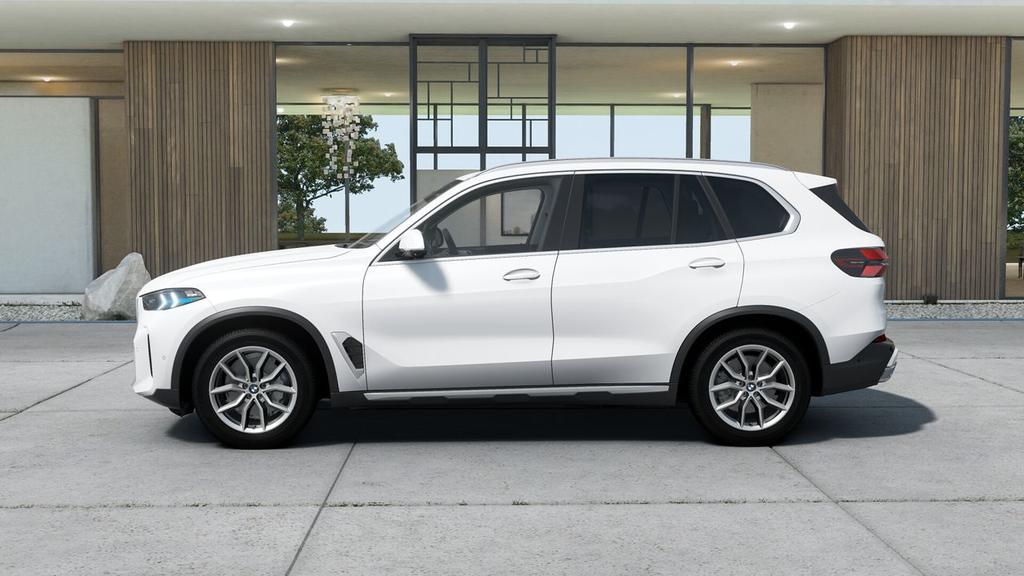 BMW X5 xDrive30d xLine - Foto 104