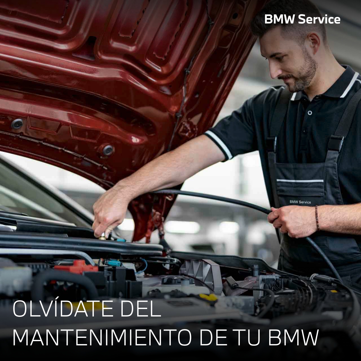Oferta BMW BSI Next